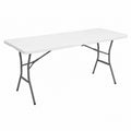 Grande Table Pliante Extérieure Blanche