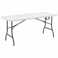 Table de Camping Pliante Légère 180x70x74 cm, Blanche